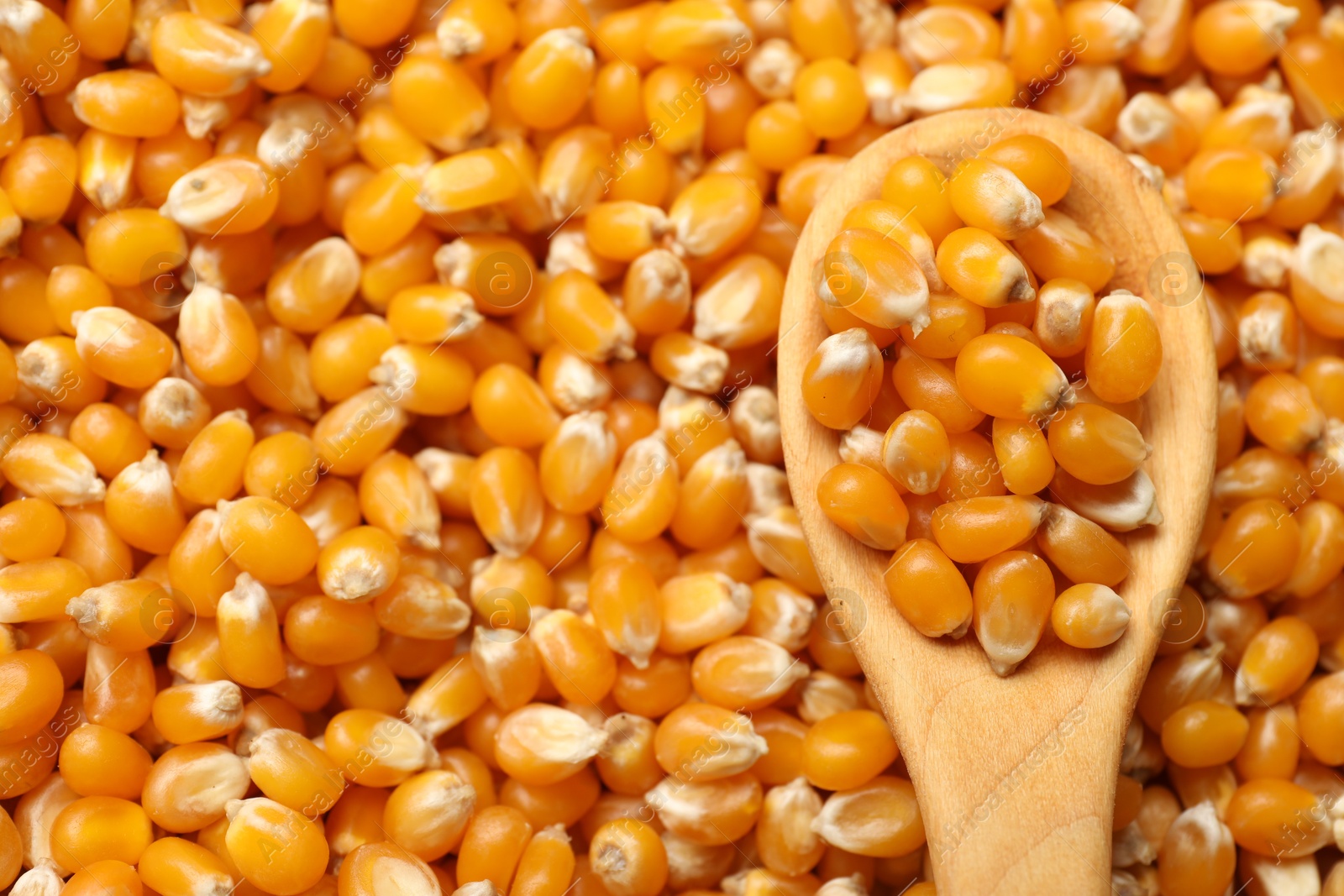 Photo of Golden corn kernels and spoon as background, closeup