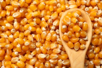 Photo of Golden corn kernels and spoon as background, closeup