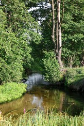 Photo of Green grass and trees growing alongside river in countryside