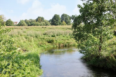 Photo of Green grass and trees growing alongside river in countryside