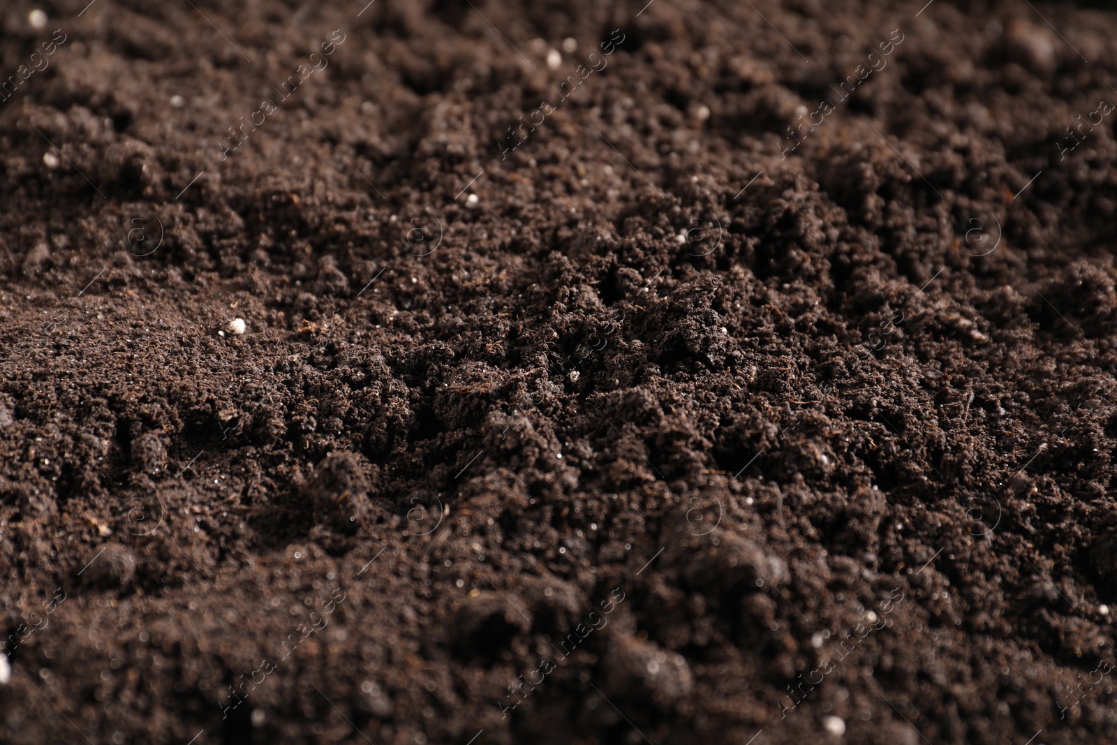 Fresh soil as background, closeup. Organic matter Photo of Fresh soil as background, closeup. Organic matter