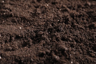 Photo of Fresh soil as background, closeup. Organic matter