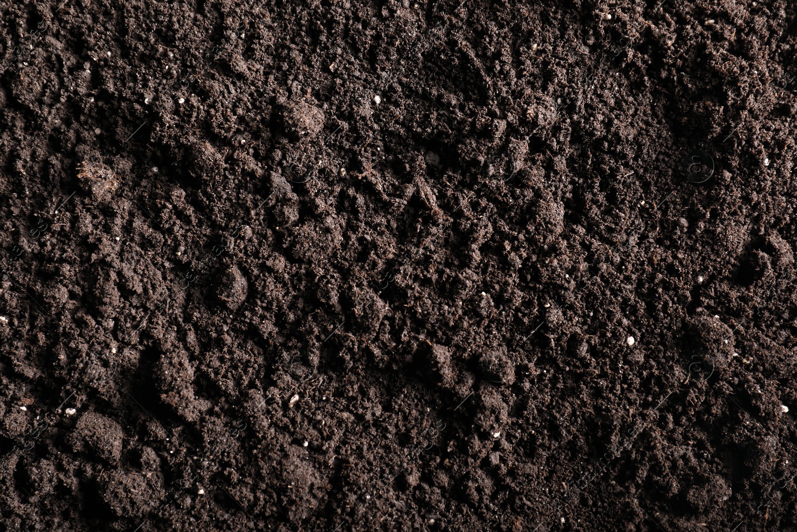 Fresh soil as background, top view. Organic matter Photo of Fresh soil as background, top view. Organic matter