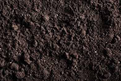 Photo of Fresh soil as background, top view. Organic matter
