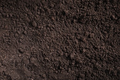 Photo of Fresh soil as background, top view. Organic matter