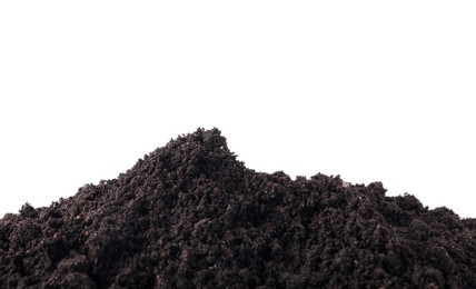Photo of Pile of fresh soil isolated on white