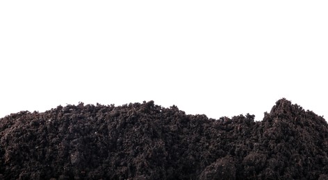 Photo of Pile of fresh soil isolated on white