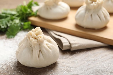 Photo of Uncooked khinkalis (dumplings) and cilantro on wooden table, closeup