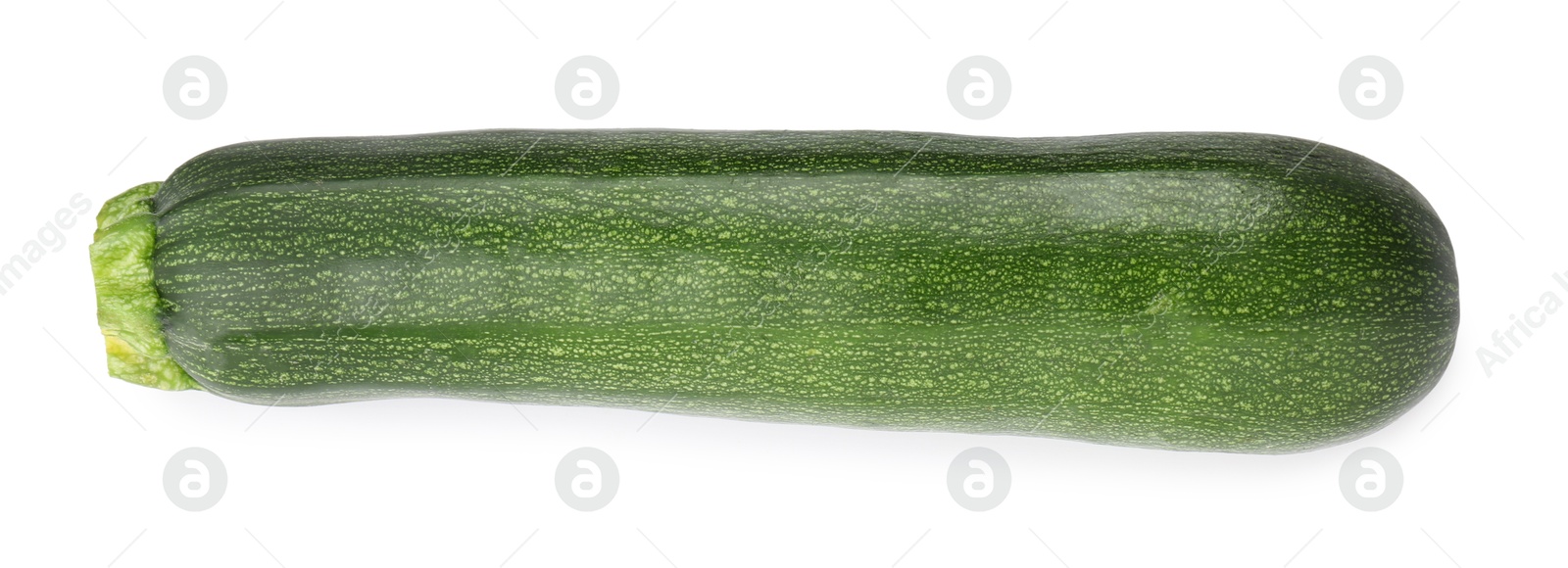 One fresh ripe zucchini isolated on white, top view Photo of One fresh ripe zucchini isolated on white, top view