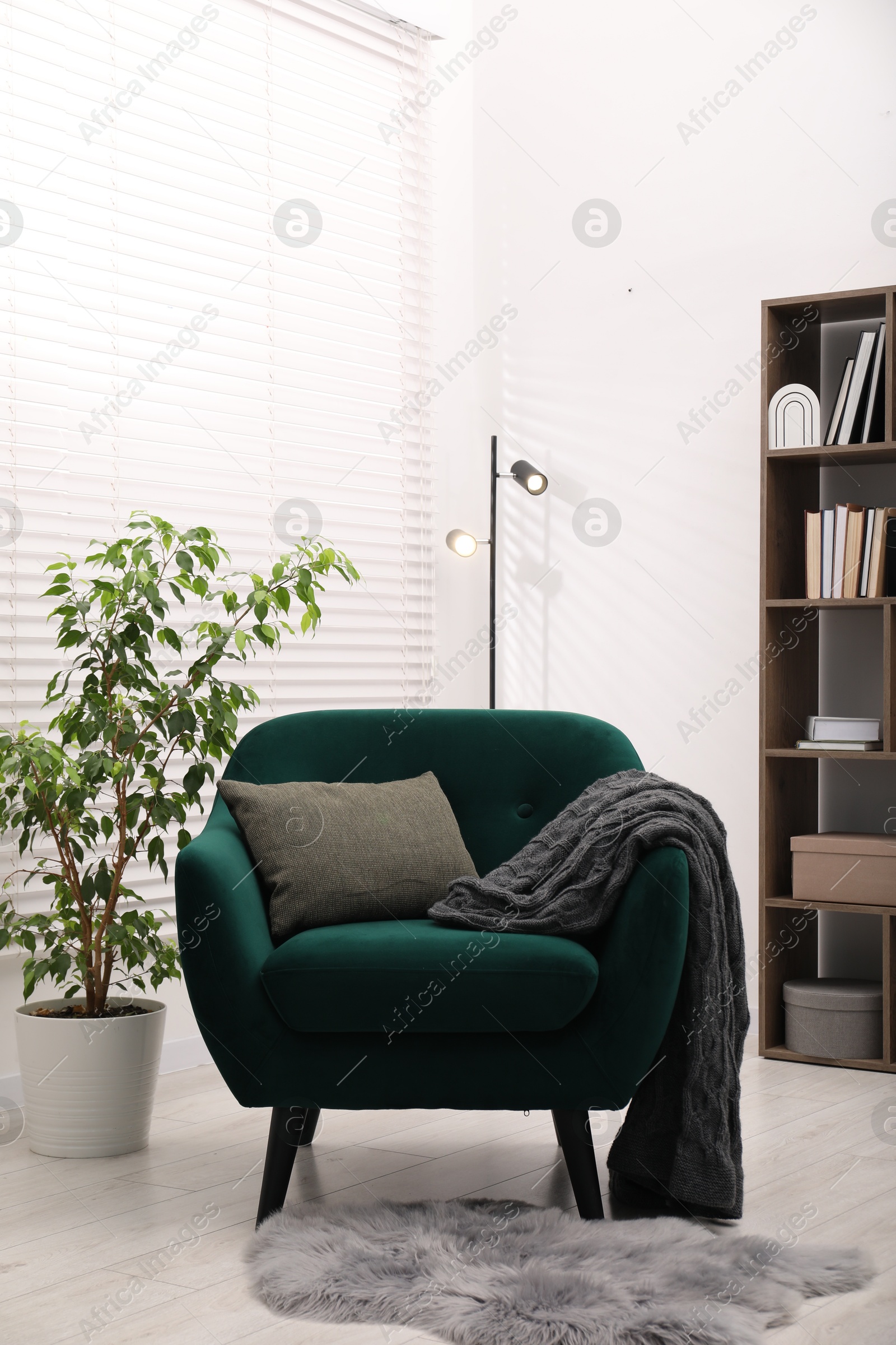 Stylish armchair with pillow and blanket indoors. Interior design Photo of Stylish armchair with pillow and blanket indoors. Interior design
