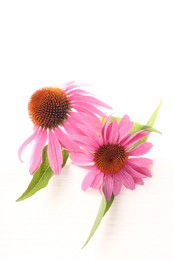Photo of Beautiful pink Echinacea flowers on white background