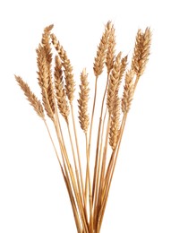 Photo of Many dried wheat ears isolated on white
