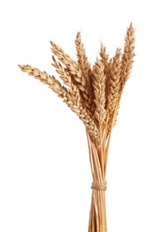 Photo of Bunch of dried wheat ears isolated on white