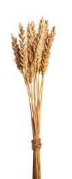Photo of Bunch of dried wheat ears isolated on white