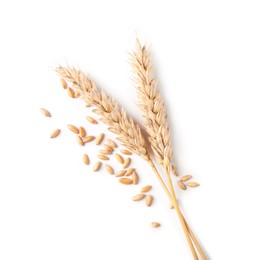 Photo of Many dried wheat ears and seeds isolated on white, top view