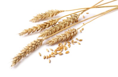 Photo of Many dried wheat ears and seeds isolated on white