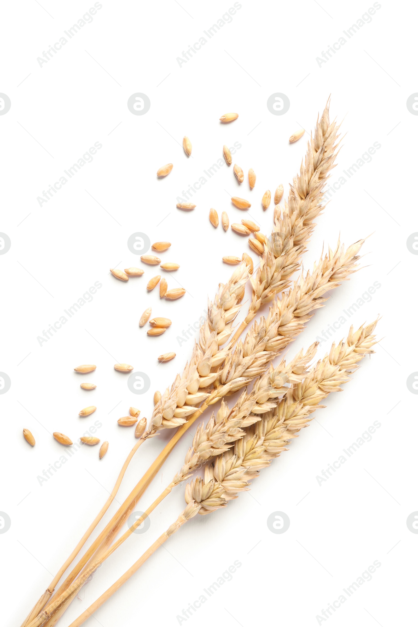 Photo of Many dried wheat ears and seeds isolated on white, top view