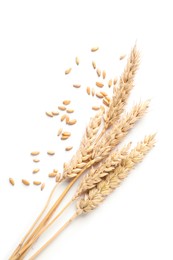 Photo of Many dried wheat ears and seeds isolated on white, top view