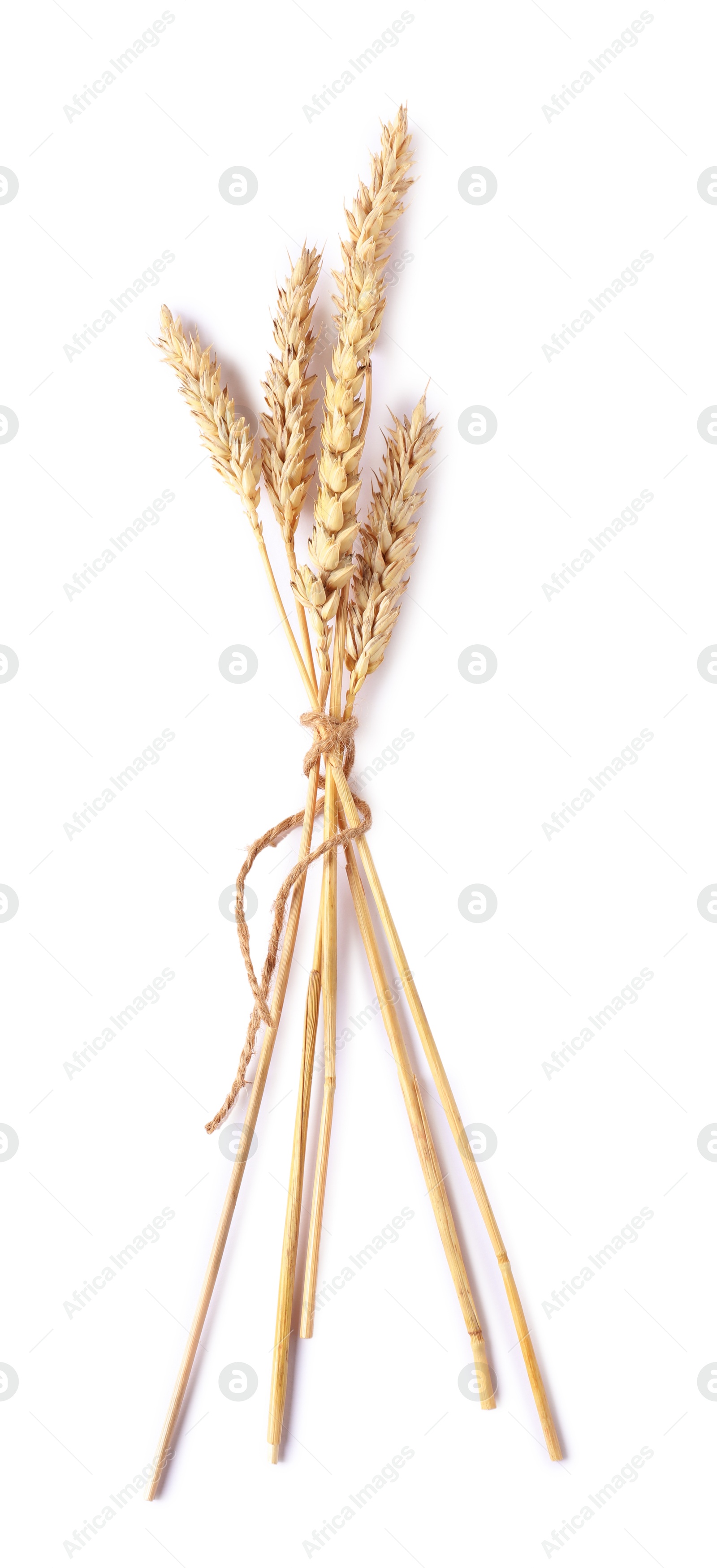 Bunch of dried wheat ears isolated on white, top view Photo of Bunch of dried wheat ears isolated on white, top view