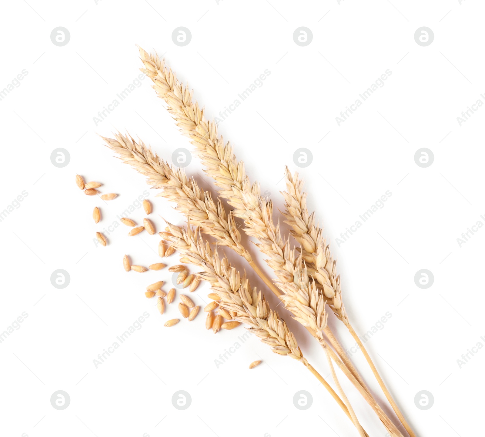 Photo of Many dried wheat ears and seeds isolated on white, top view
