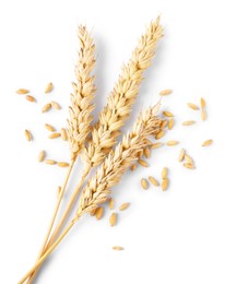 Photo of Many dried wheat ears and seeds isolated on white, top view