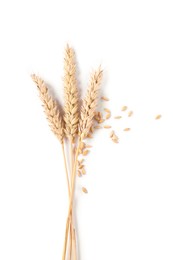 Photo of Many dried wheat ears and seeds isolated on white, top view