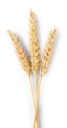 Photo of Many dried wheat ears isolated on white, top view