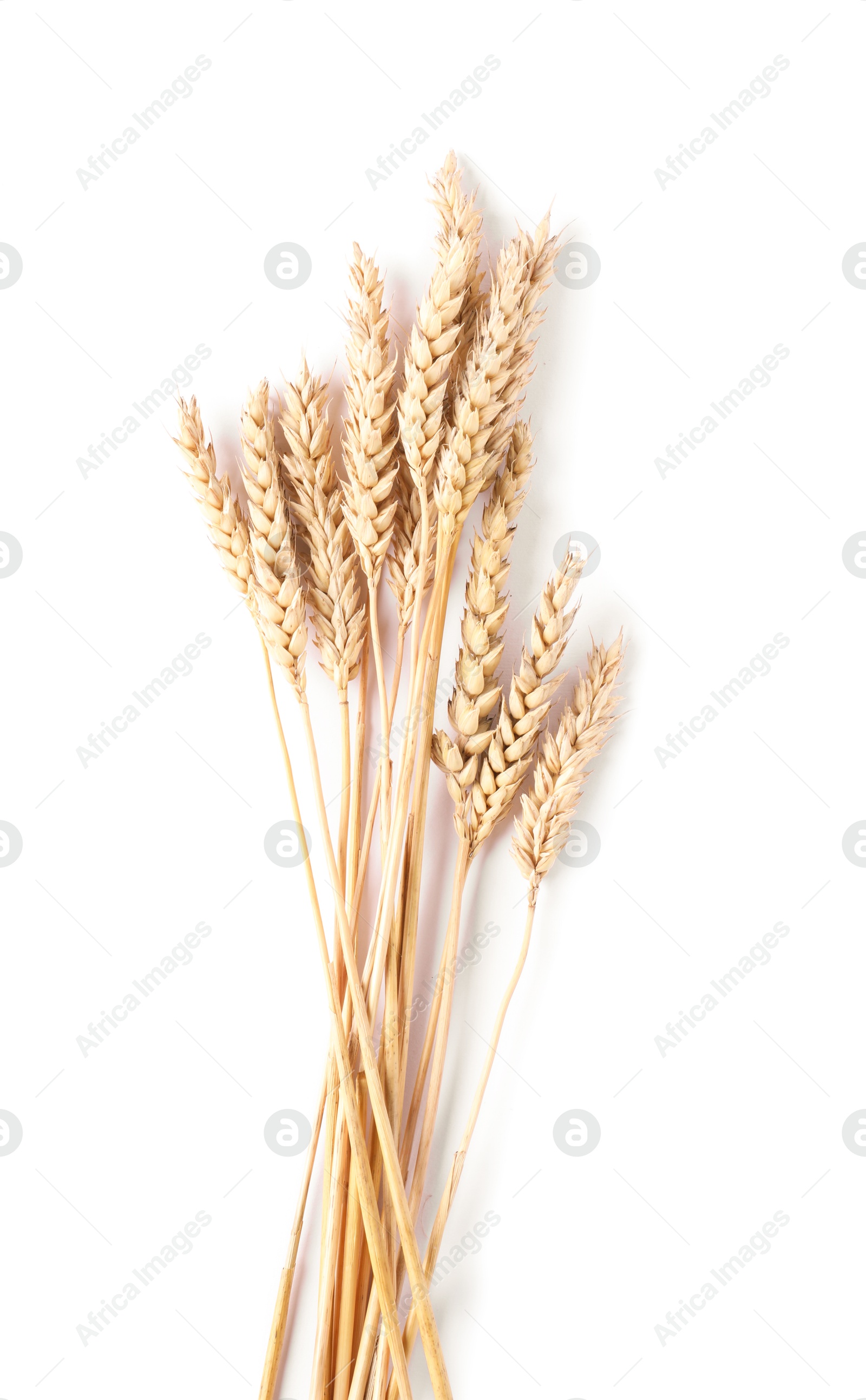 Many dried wheat ears isolated on white, top view Photo of Many dried wheat ears isolated on white, top view