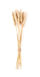 Photo of Bunch of dried wheat ears isolated on white, top view
