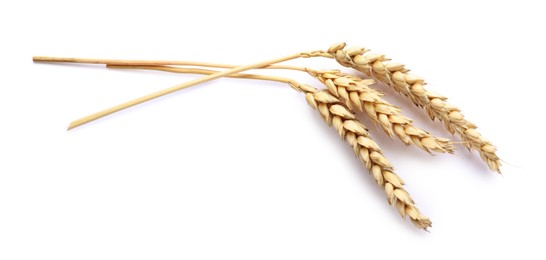 Photo of Three dried wheat ears isolated on white