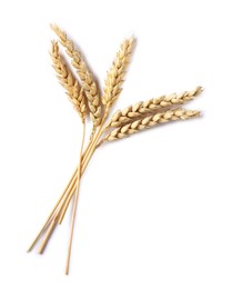 Photo of Many dried wheat ears isolated on white, top view