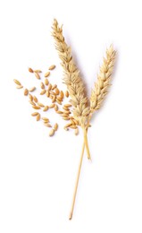 Photo of Dried wheat ears and seeds isolated on white, top view