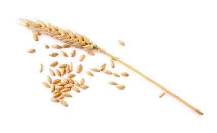 Photo of Dried wheat ear and seeds isolated on white, above view