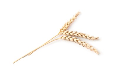 Photo of Many dried wheat ears isolated on white, top view