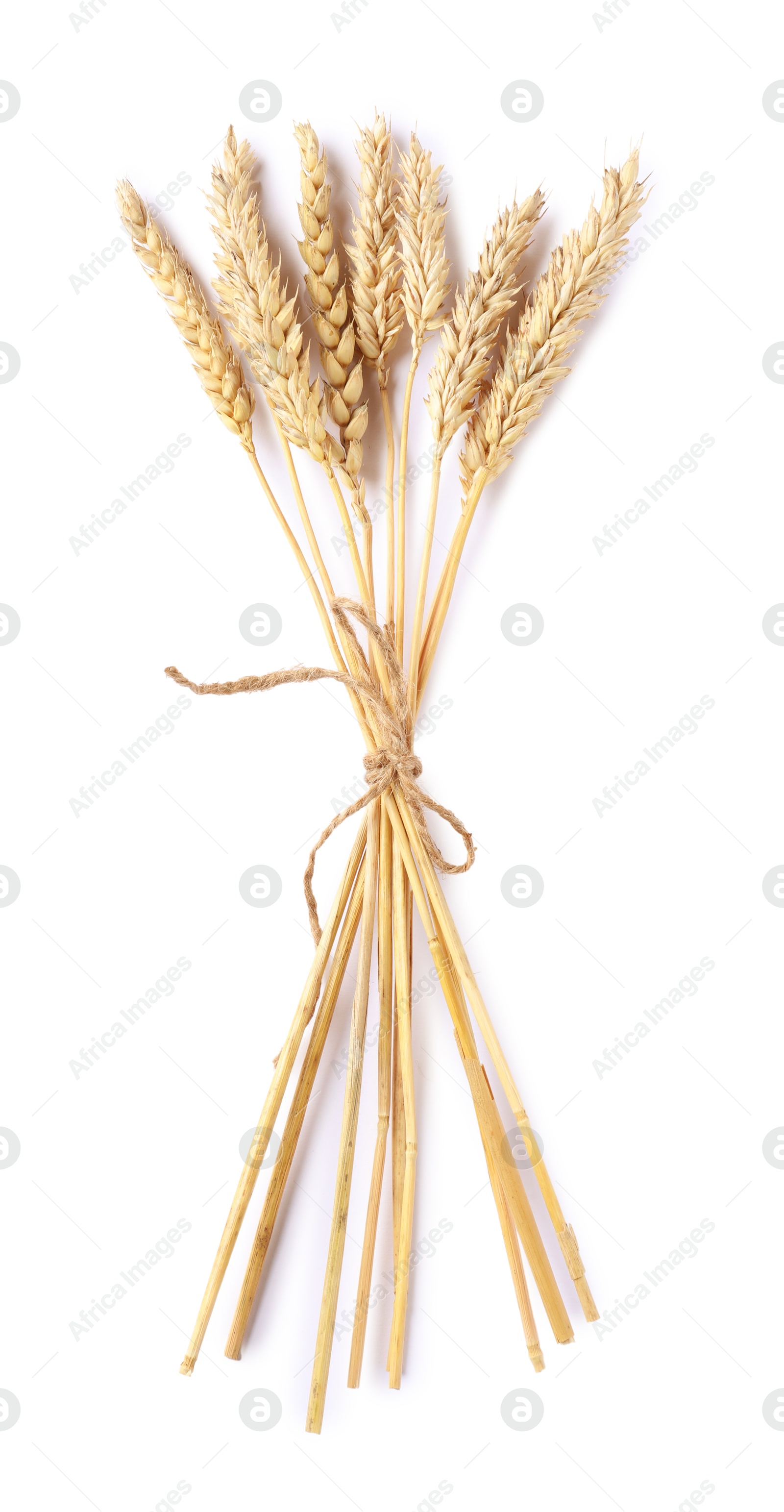 Bunch of dried wheat ears isolated on white, top view Photo of Bunch of dried wheat ears isolated on white, top view