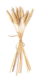 Photo of Bunch of dried wheat ears isolated on white, top view