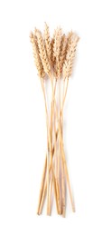 Photo of Many dried wheat ears isolated on white, top view
