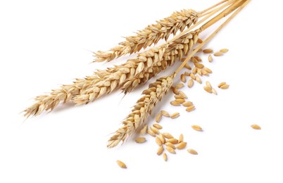 Photo of Dried wheat ears and seeds isolated on white