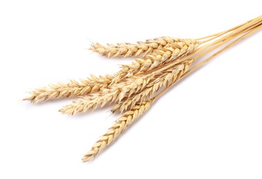 Photo of Many dried wheat ears isolated on white