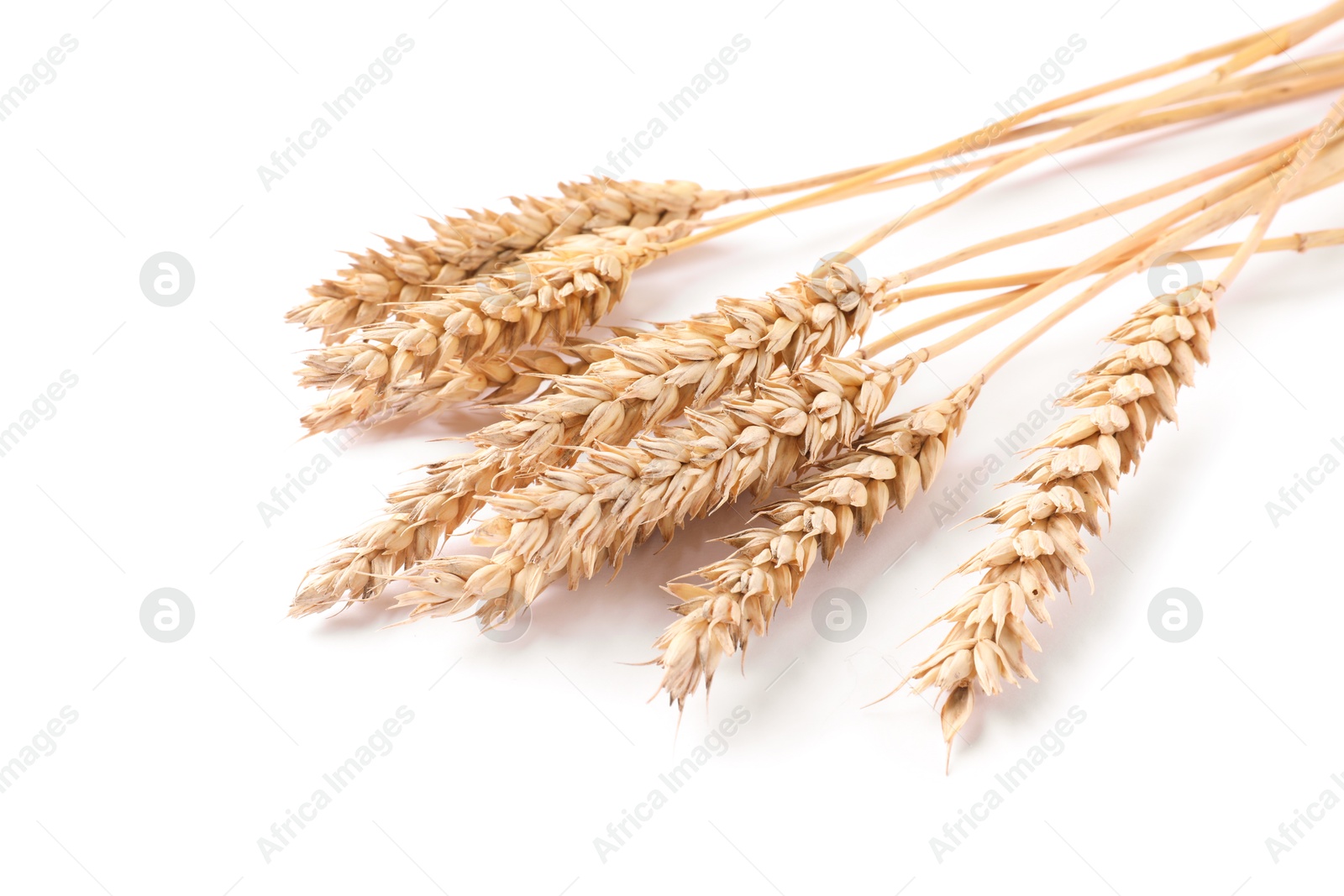 Many dried wheat ears isolated on white Photo of Many dried wheat ears isolated on white