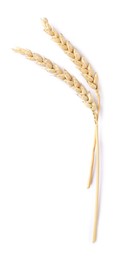 Photo of Two dried wheat ears isolated on white, top view