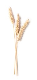 Photo of Many dried wheat ears isolated on white, top view