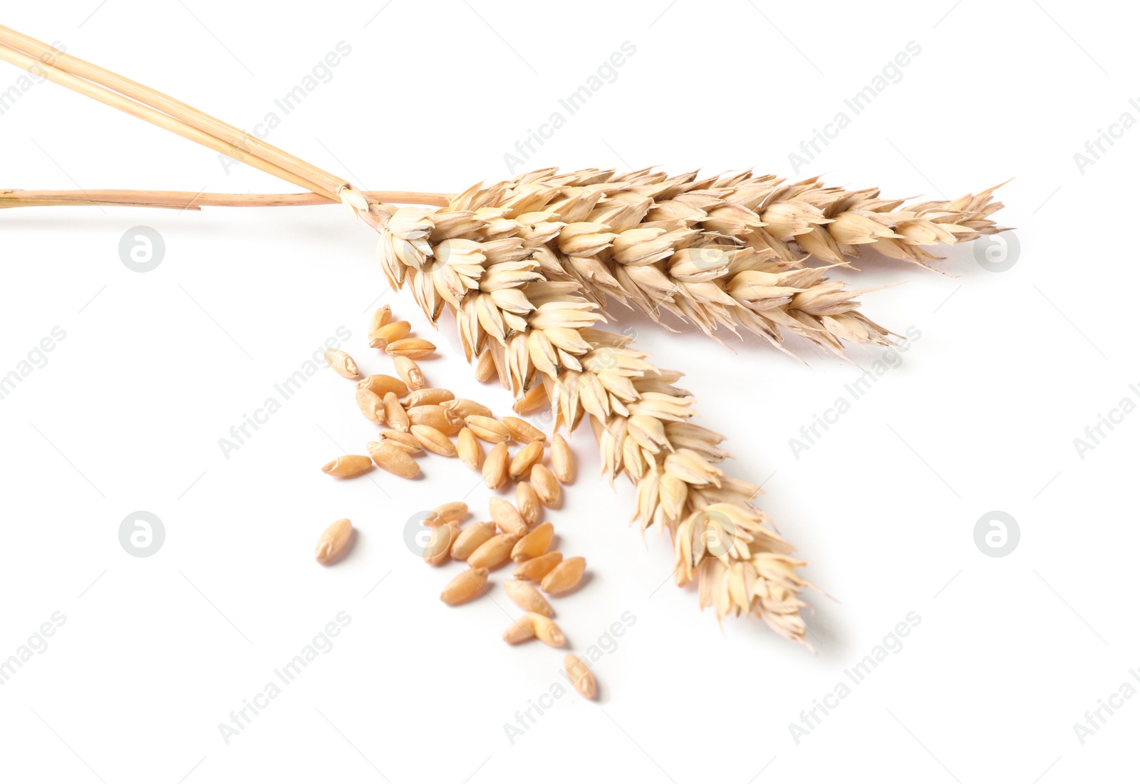 Dried wheat ears and seeds isolated on white Photo of Dried wheat ears and seeds isolated on white