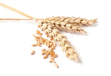 Photo of Dried wheat ears and seeds isolated on white