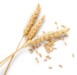 Photo of Dried wheat ears and seeds isolated on white, top view