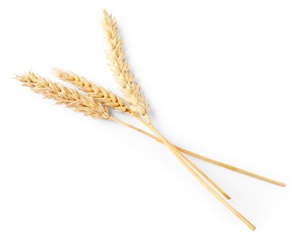 Photo of Many dried wheat ears isolated on white, top view