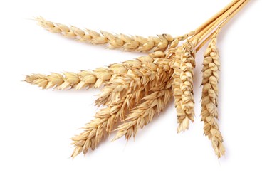Photo of Many dried wheat ears isolated on white