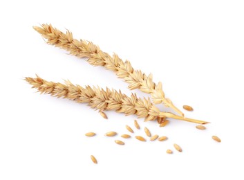 Photo of Dried wheat ears and seeds isolated on white