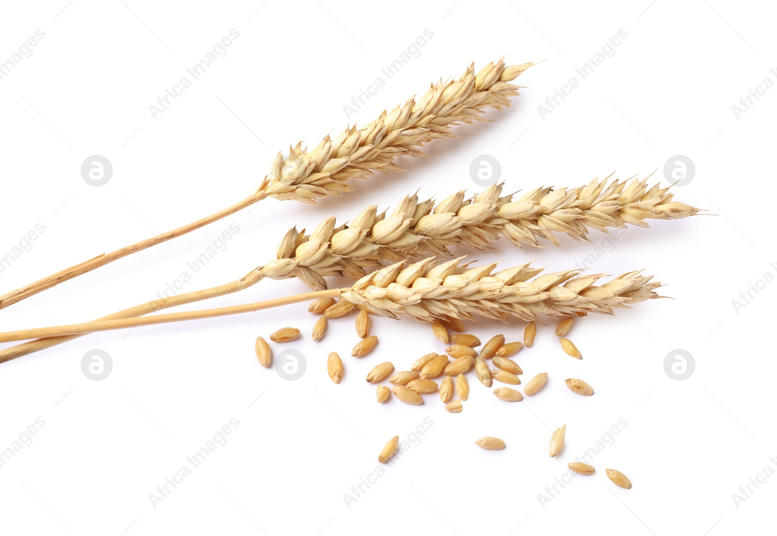 Dried wheat ears and seeds isolated on white, above view Photo of Dried wheat ears and seeds isolated on white, above view