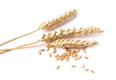 Photo of Dried wheat ears and seeds isolated on white, above view